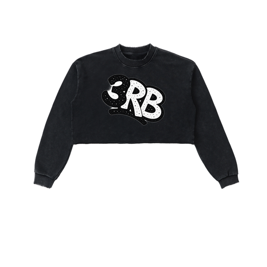 Snow Washed Raw Edge Cropped Sweatshirt